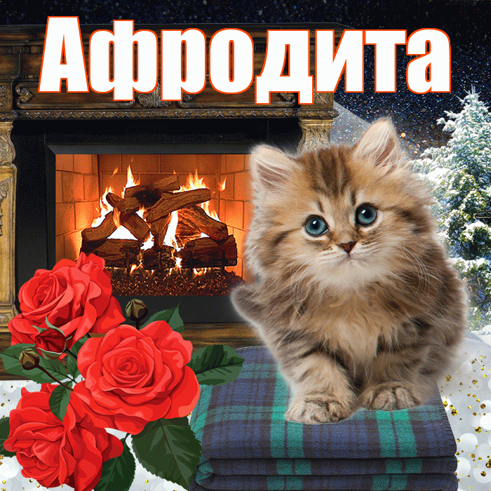 Афродита! Доброго зимнего вечера! Красивая открытка Афродите!