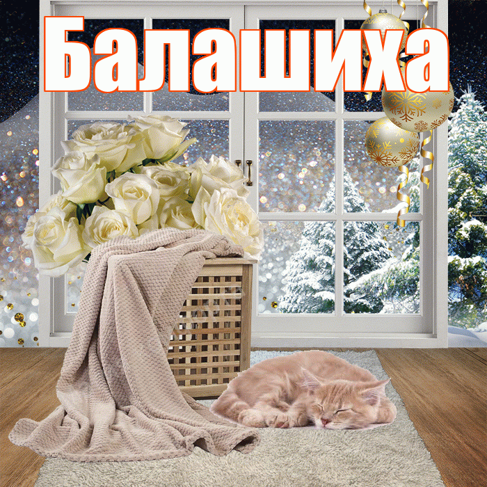 Балашиха! Доброго зимнего вечера! Красивая открытка Балашихе!
