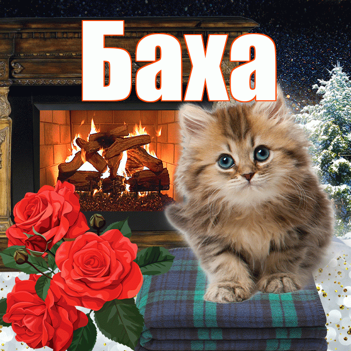 Баха! Доброго зимнего вечера! Красивая открытка !