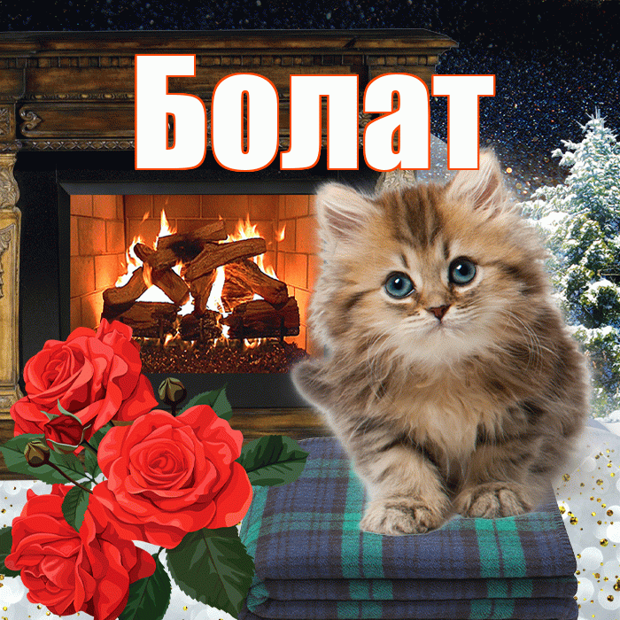 Болат! Доброго зимнего вечера! Красивая открытка Болату!