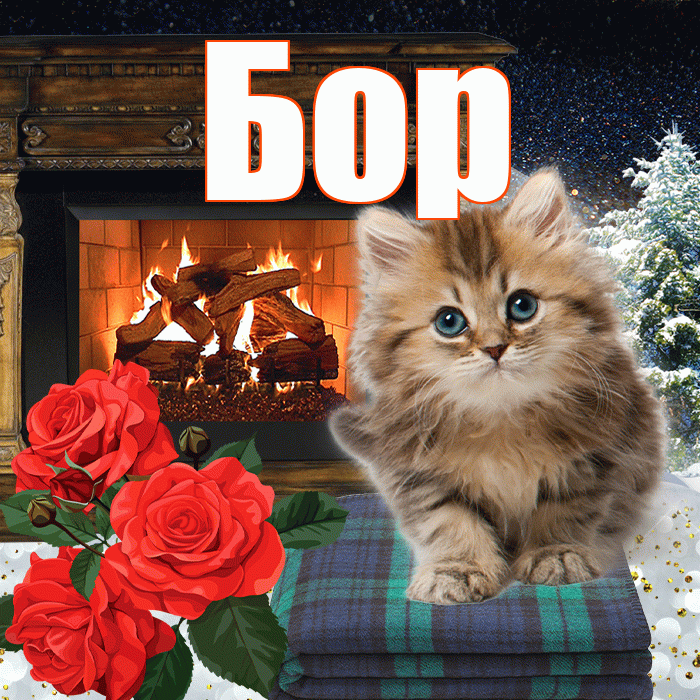 Бор! Доброго зимнего вечера! Красивая открытка Бору!