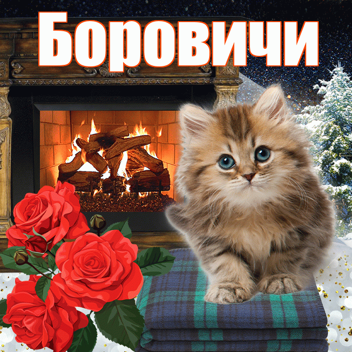 Боровичи! Доброго зимнего вечера! Красивая открытка Боровичи!