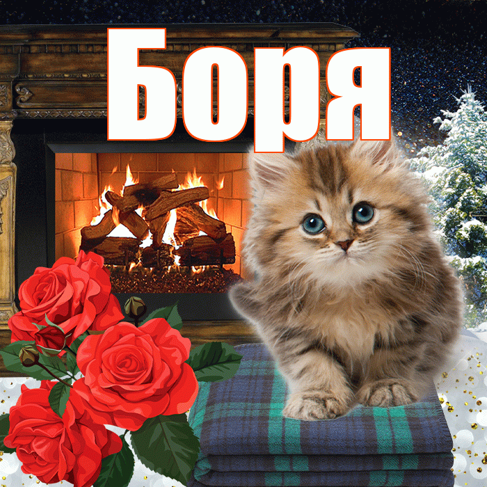 Боря! Доброго зимнего вечера! Красивая открытка Боре!