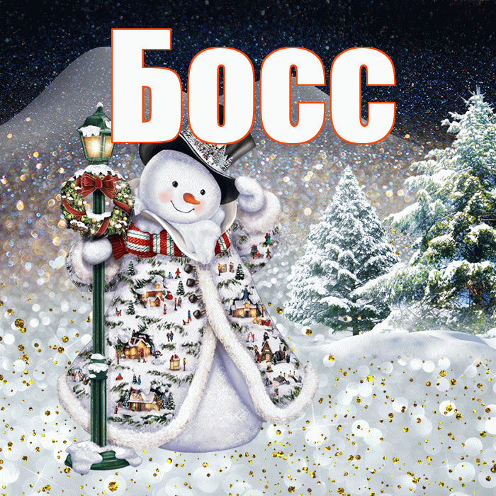 Босс! Доброго зимнего вечера! Красивая открытка Боссу!