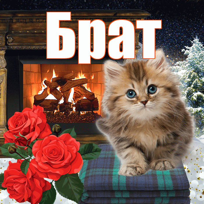Брат! Доброго зимнего вечера! Красивая открытка Брату!