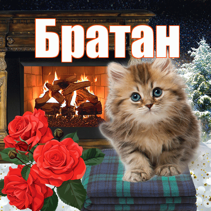 Братан! Доброго зимнего вечера! Красивая открытка Братану!