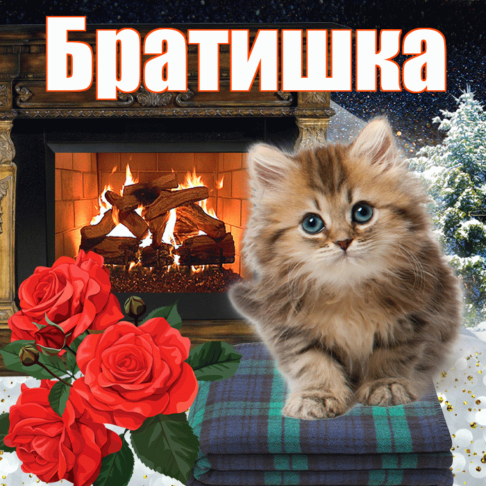 Братишка! Доброго зимнего вечера! Красивая открытка Братишке!