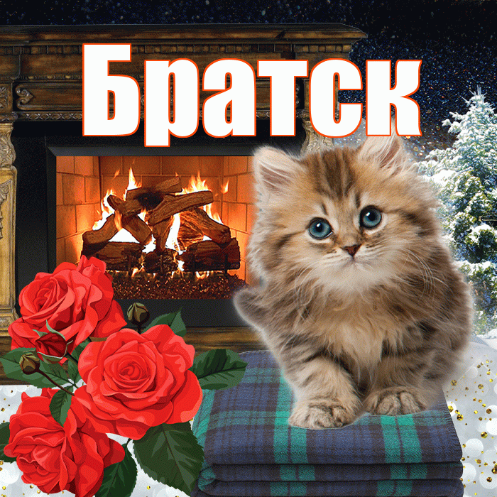 Братск! Доброго зимнего вечера! Красивая открытка Братску!