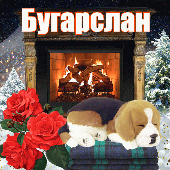 Бугарслан! Доброго зимнего вечера! Красивая открытка Бугарслану!