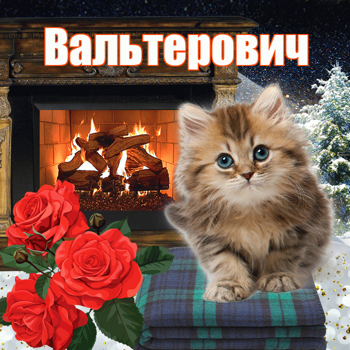 Вальтерович! Доброго зимнего вечера! Красивая открытка Вальтеровичу!
