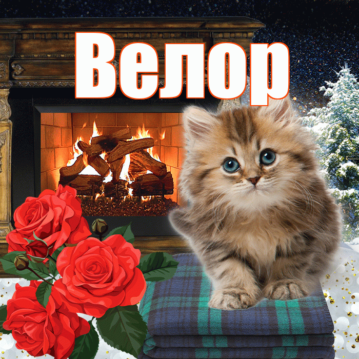 Велор! Доброго зимнего вечера! Красивая открытка Велоре!
