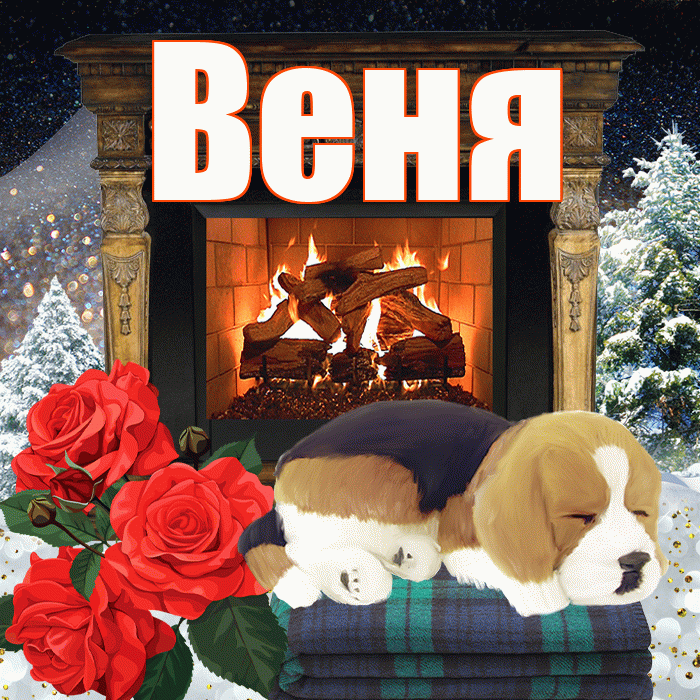 Веня! Доброго зимнего вечера! Красивая открытка Вене!