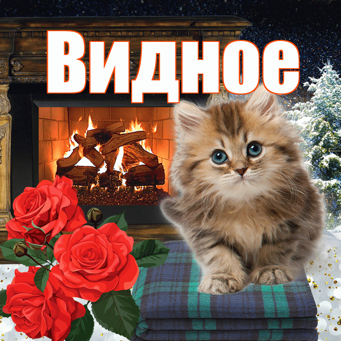 Видное! Доброго зимнего вечера! Красивая открытка Видное!