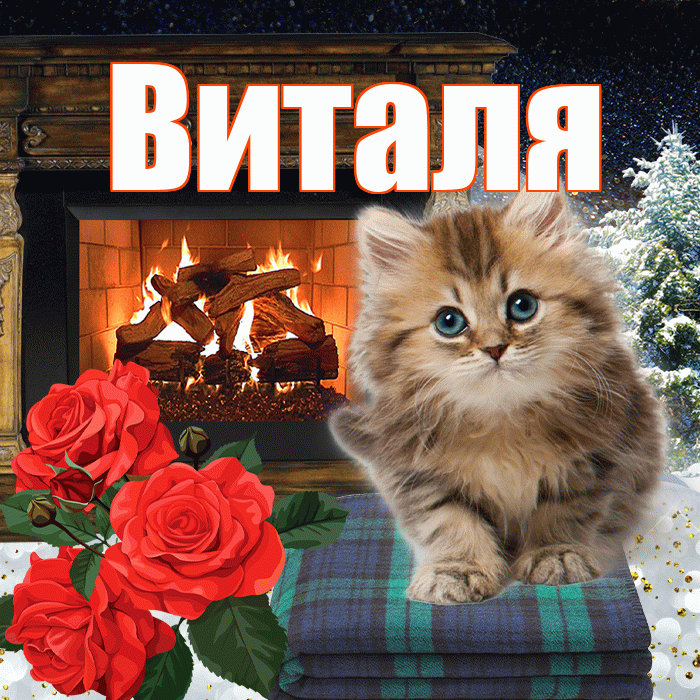 Виталя! Доброго зимнего вечера! Красивая открытка Виталю!