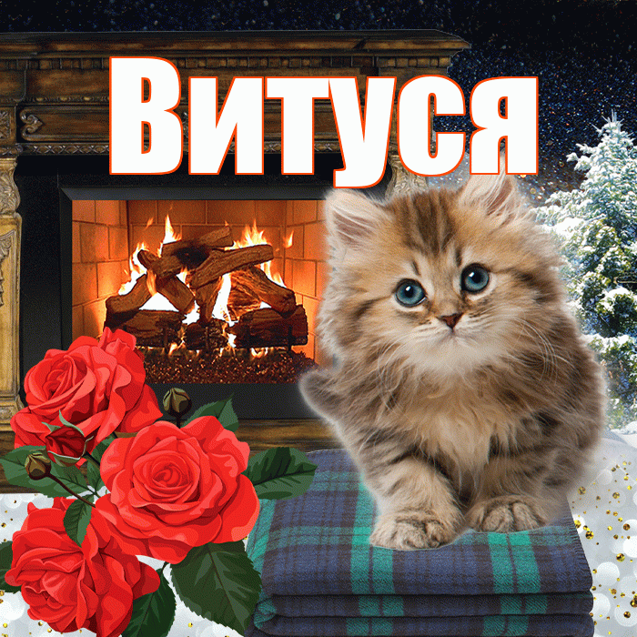 Витуся! Доброго зимнего вечера! Красивая открытка !