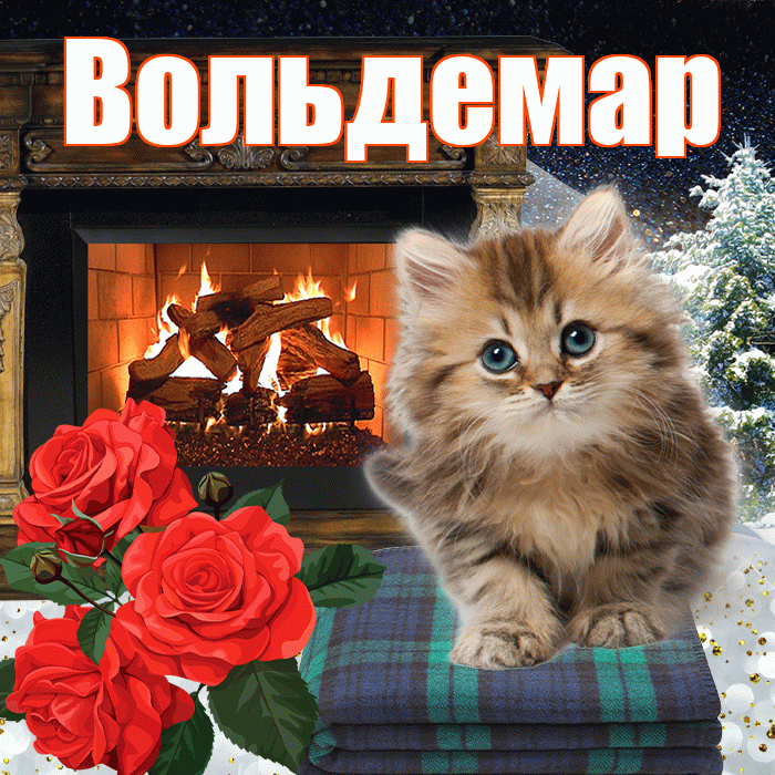 Вольдемар! Доброго зимнего вечера! Красивая открытка Вольдемару!