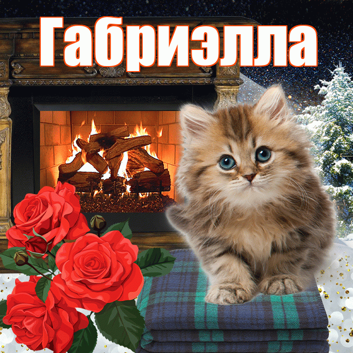 Габриэлла! Доброго зимнего вечера! Красивая открытка Габриэлле!