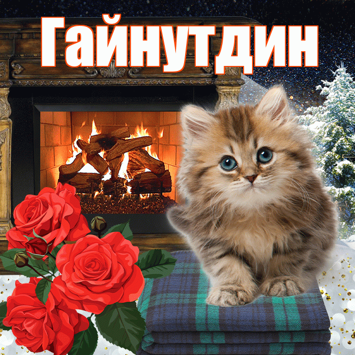 Гайнутдин! Доброго зимнего вечера! Красивая открытка Гайнутдину!