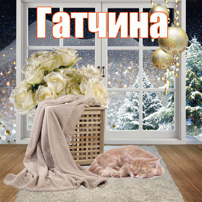 Гатчина! Доброго зимнего вечера! Красивая открытка Гатчине!