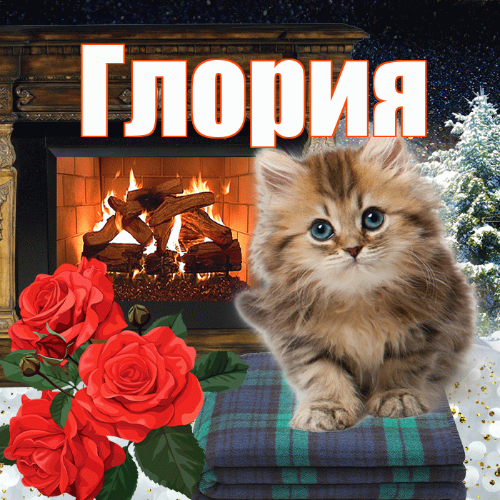 Глория! Доброго зимнего вечера! Красивая открытка Глорию!
