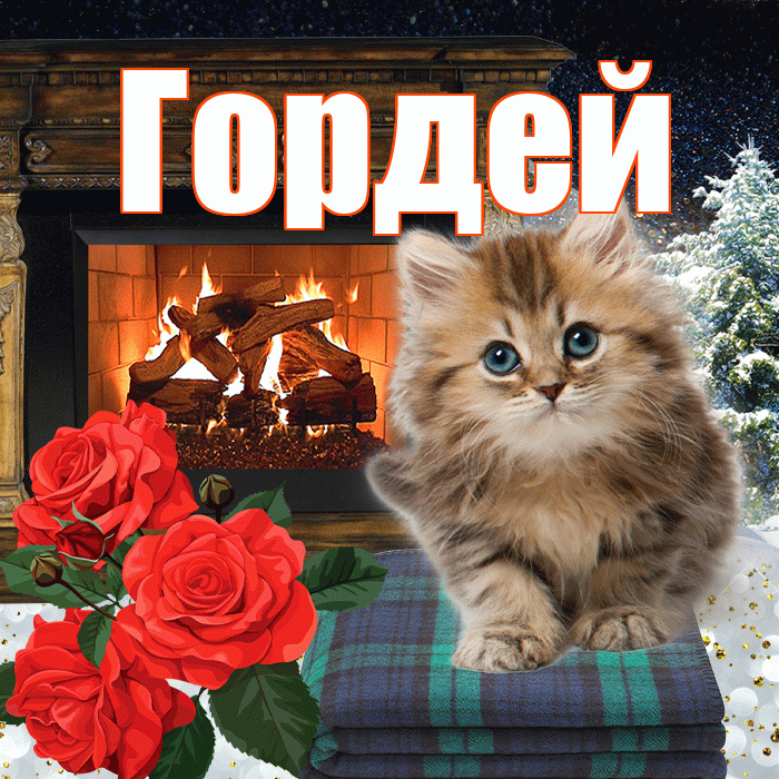 Гордей! Доброго зимнего вечера! Красивая открытка Гордею!