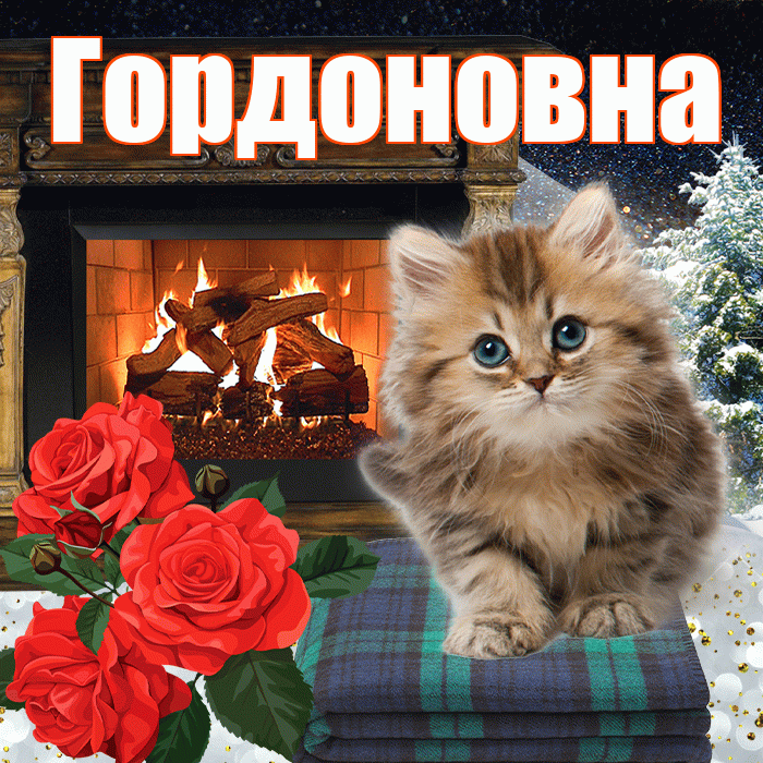 Гордоновна! Доброго зимнего вечера! Красивая открытка Гордоновне!