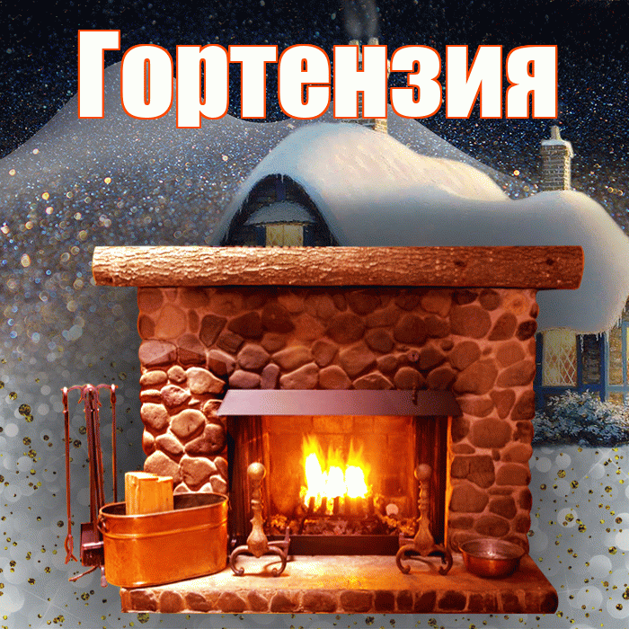 Гортензия! Доброго зимнего вечера! Красивая открытка Гортензии!
