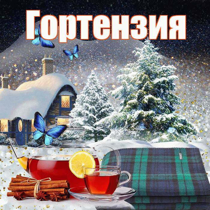 Гортензия! Доброго зимнего вечера! Красивая открытка Гортензии!