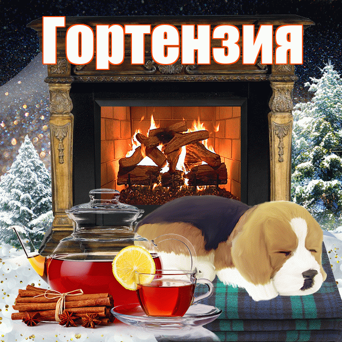 Гортензия! Доброго зимнего вечера! Красивая открытка Гортензии!