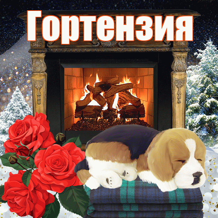 Гортензия! Доброго зимнего вечера! Красивая открытка Гортензии!
