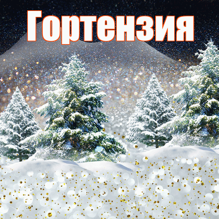 Гортензия! Доброго зимнего вечера! Красивая открытка Гортензии!