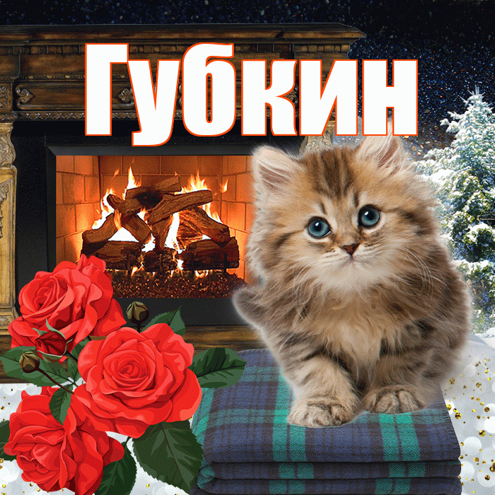Губкин! Доброго зимнего вечера! Красивая открытка Губкину!