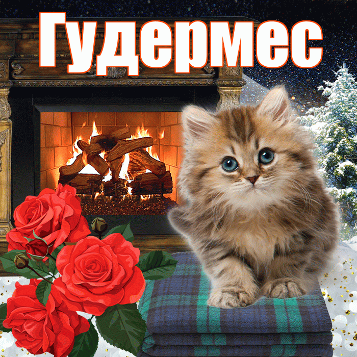 Гудермес! Доброго зимнего вечера! Красивая открытка Гудермесу!