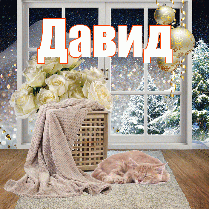 Давид! Доброго зимнего вечера! Красивая открытка Давиду!