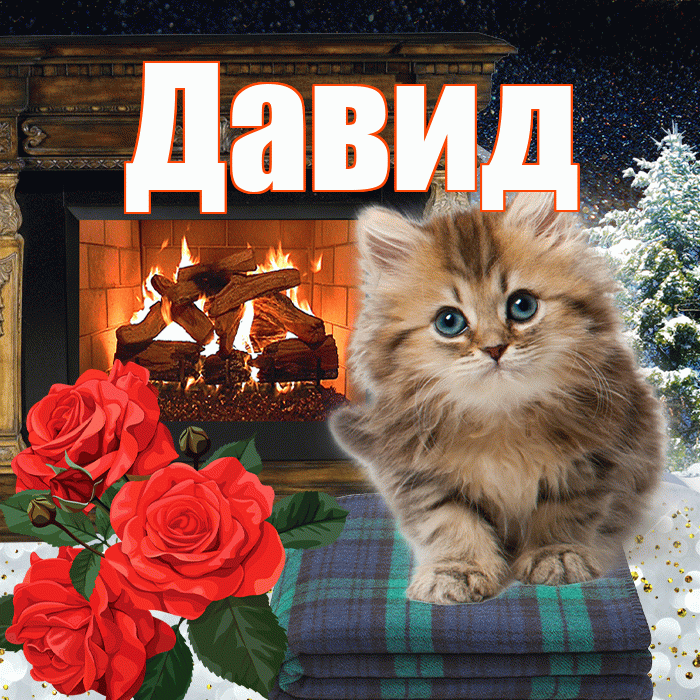 Давид! Доброго зимнего вечера! Красивая открытка Давиду!