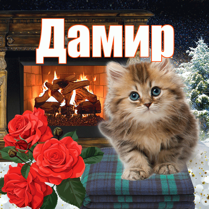Дамир! Доброго зимнего вечера! Красивая открытка Дамиру!