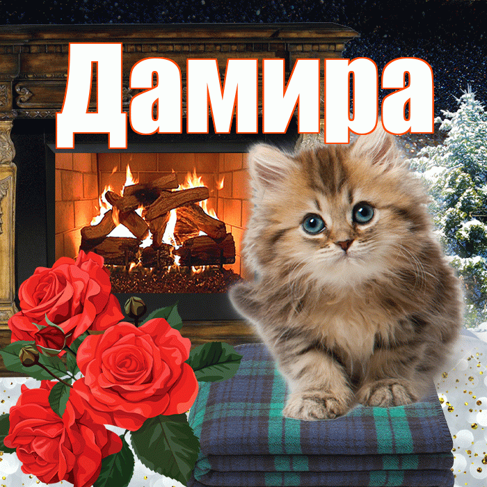 Дамира! Доброго зимнего вечера! Красивая открытка Дамире!