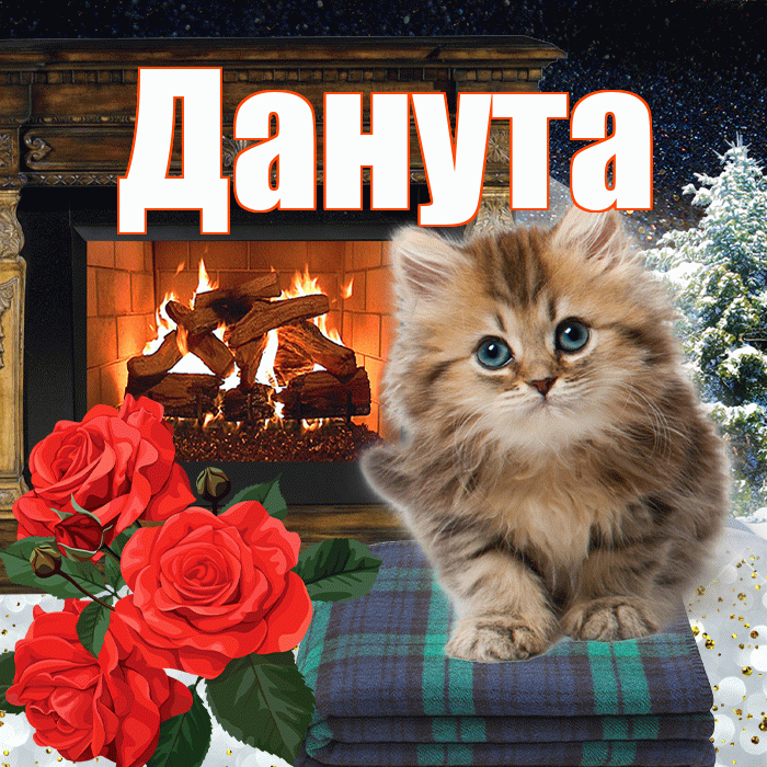 Данута! Доброго зимнего вечера! Красивая открытка Дануте!
