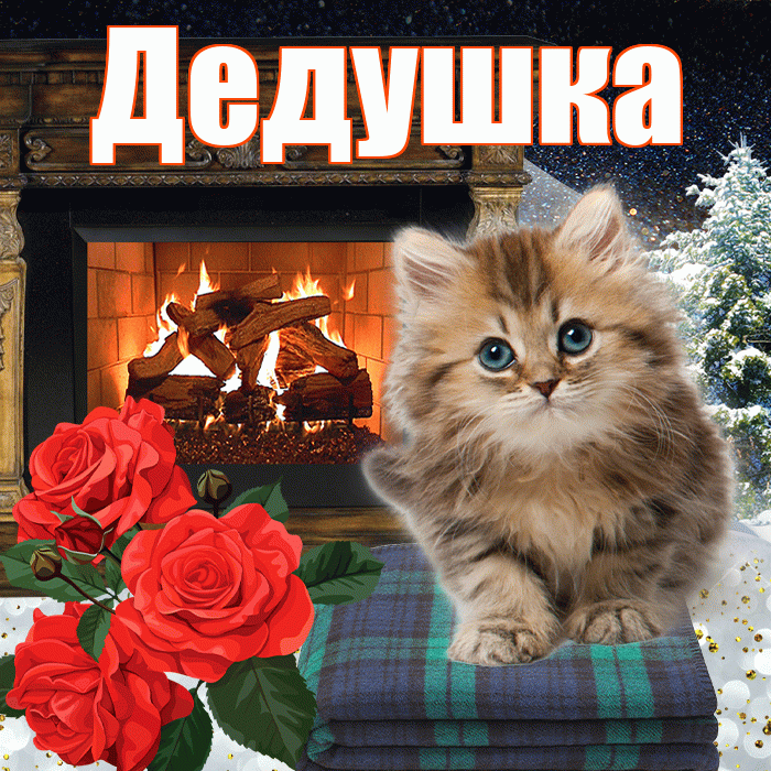 Дедушка! Доброго зимнего вечера! Красивая открытка Дедушке!