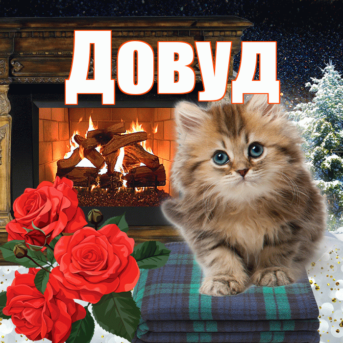 Довуд! Доброго зимнего вечера! Красивая открытка Довуду!