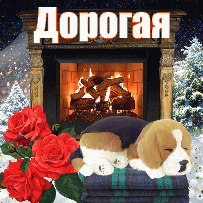 Дорогая! Доброго зимнего вечера! Красивая открытка Дорогой!
