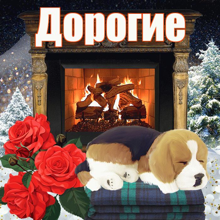 Дорогие! Доброго зимнего вечера! Красивая открытка Дорогим!