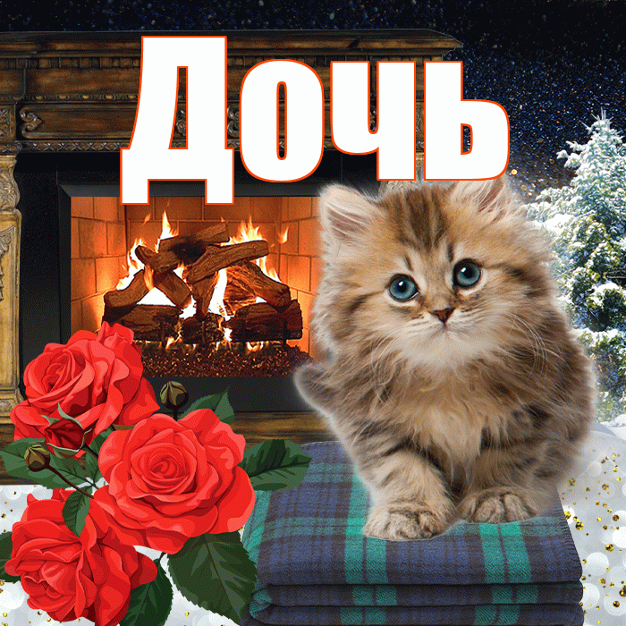 Дочь! Доброго зимнего вечера! Красивая открытка Дочери!