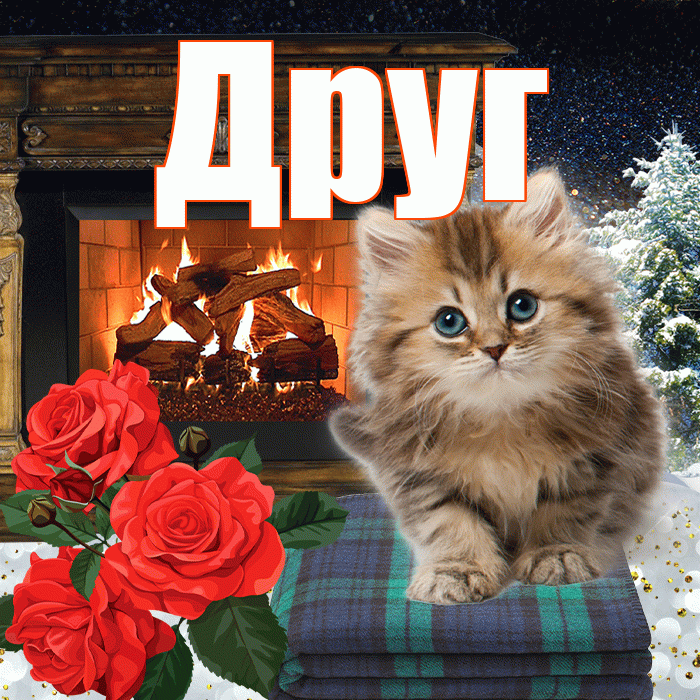 Друг! Доброго зимнего вечера! Красивая открытка Другу!