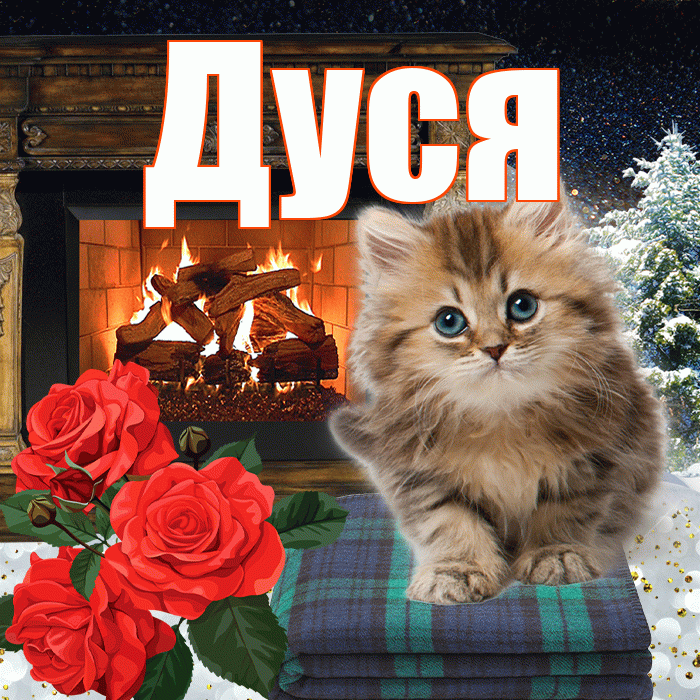 Дуся! Доброго зимнего вечера! Красивая открытка Дусе!