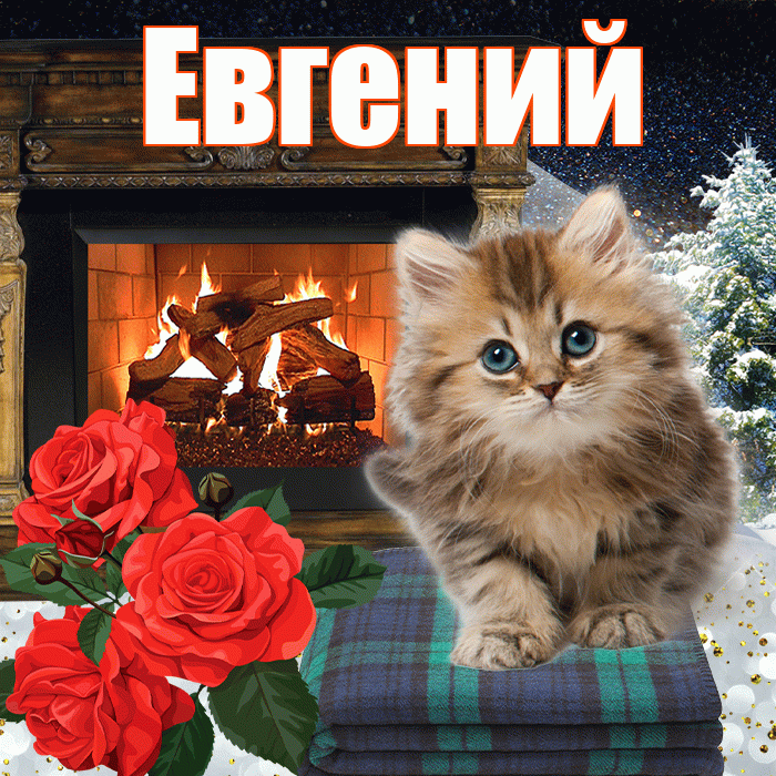 Евгений! Доброго зимнего вечера! Красивая открытка Евгению!