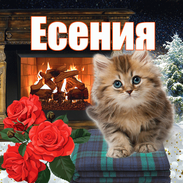Есения! Доброго зимнего вечера! Красивая открытка Есении!