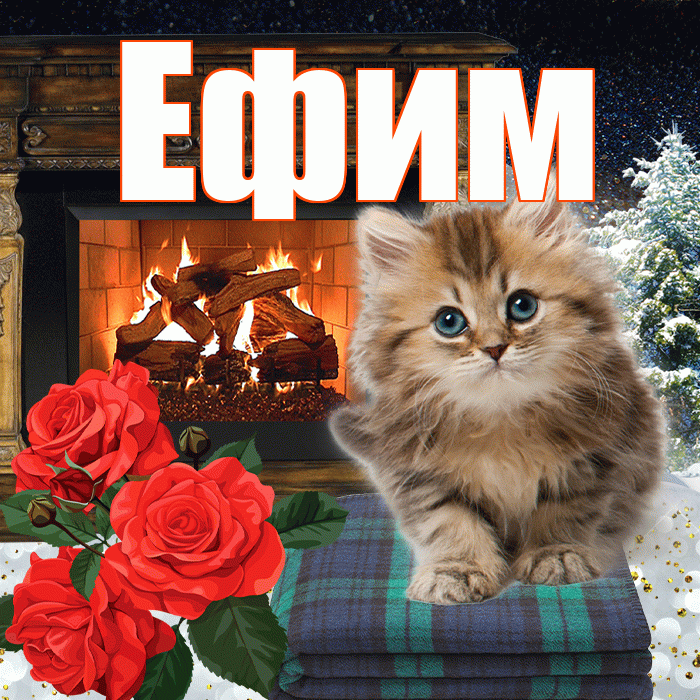 Ефим! Доброго зимнего вечера! Красивая открытка Ефиму!