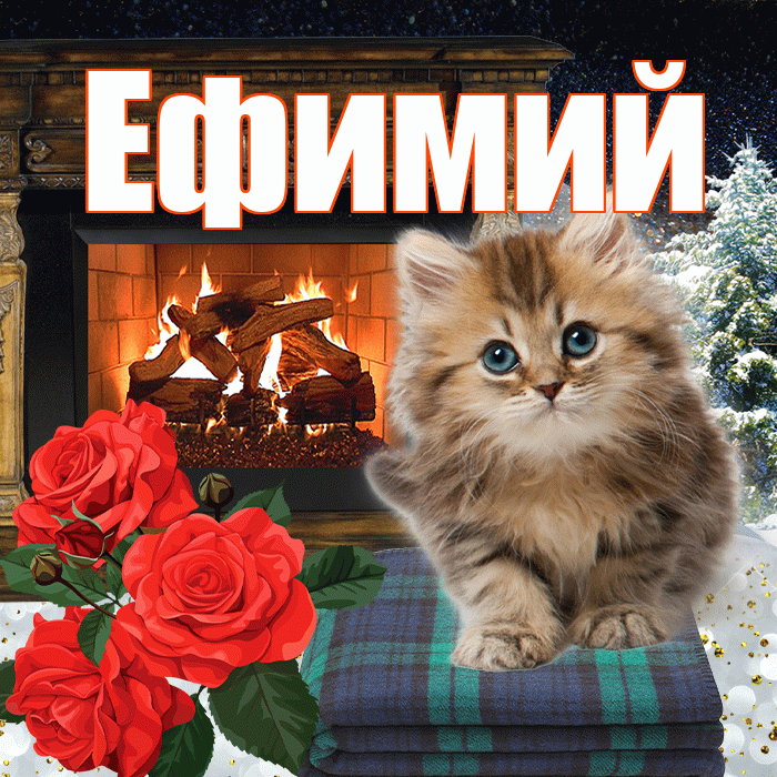 Ефимий! Доброго зимнего вечера! Красивая открытка Ефимию!