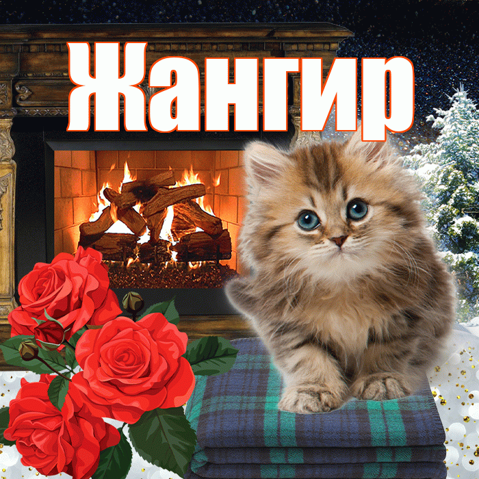 Жангир! Доброго зимнего вечера! Красивая открытка Жангиру!